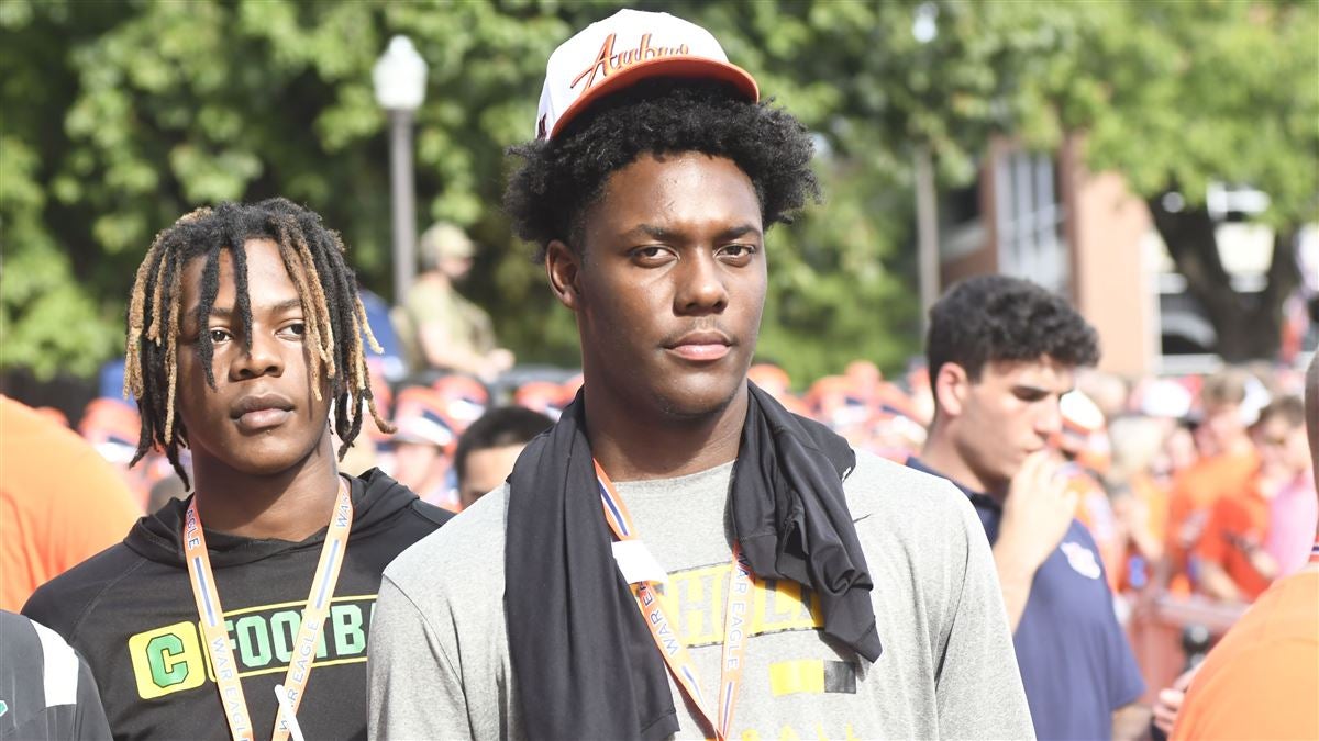 的独特魅力 的独特魅力