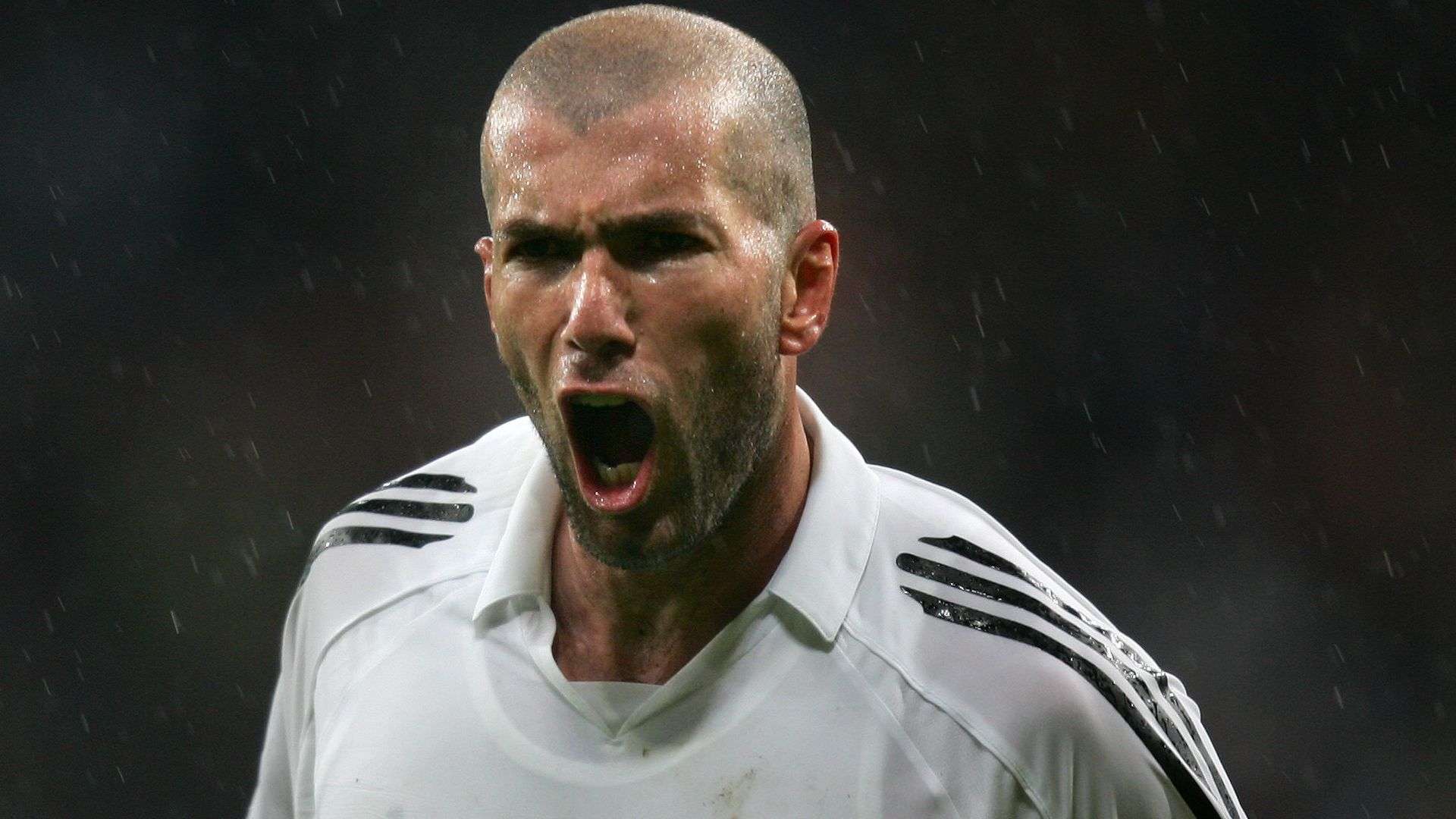 对性的战术 对性的战术